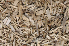 biomass boilers Lunt
