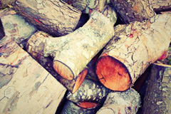 Lunt wood burning boiler costs